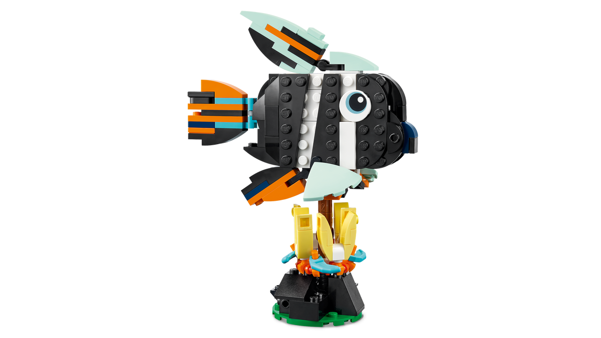Wild Animals: Tropical Toucan