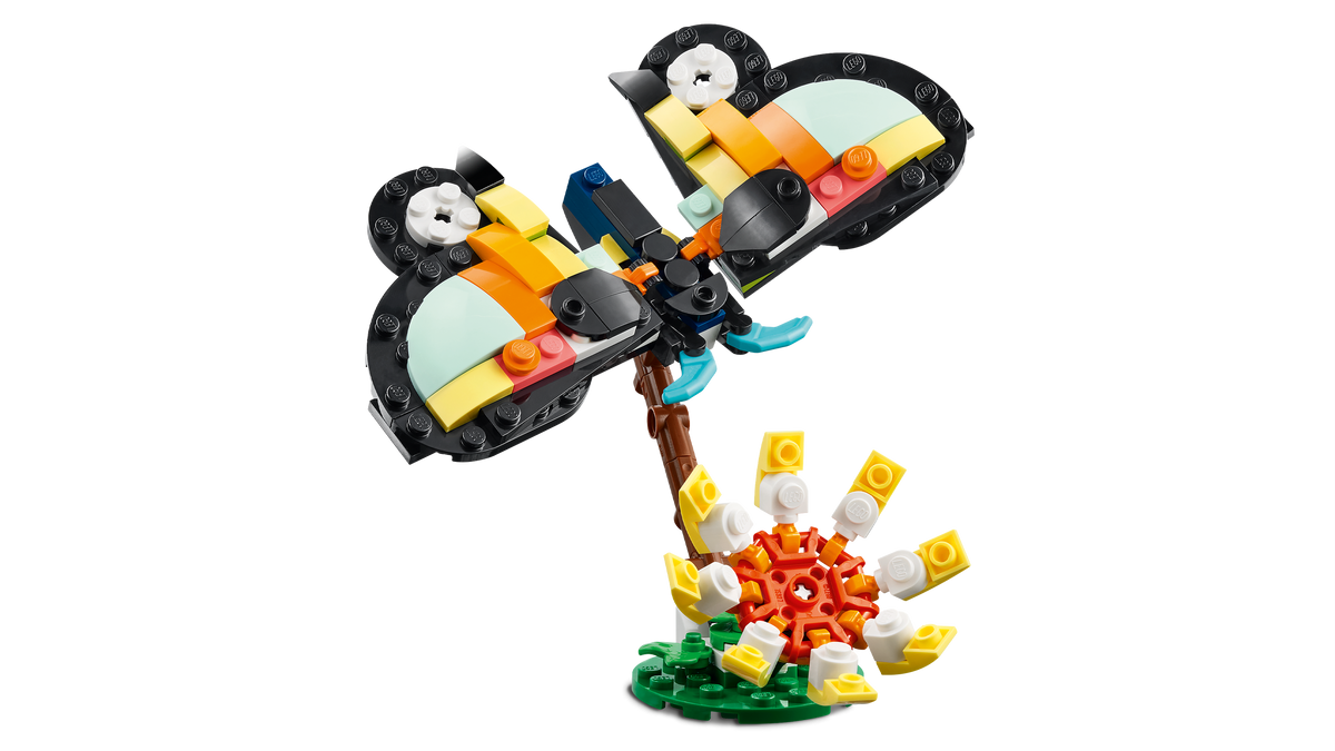 Wild Animals: Tropical Toucan