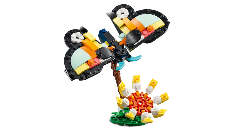 Wild Animals: Tropical Toucan
