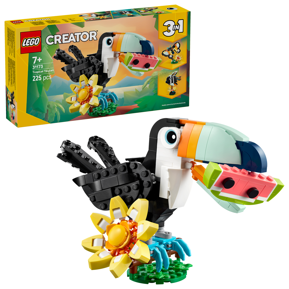 Wild Animals: Tropical Toucan