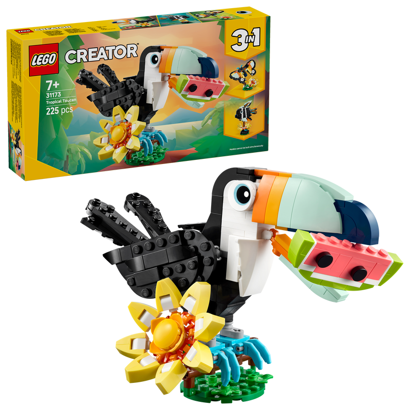 Wild Animals: Tropical Toucan