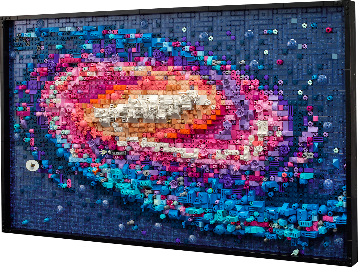 The Milky Way Galaxy