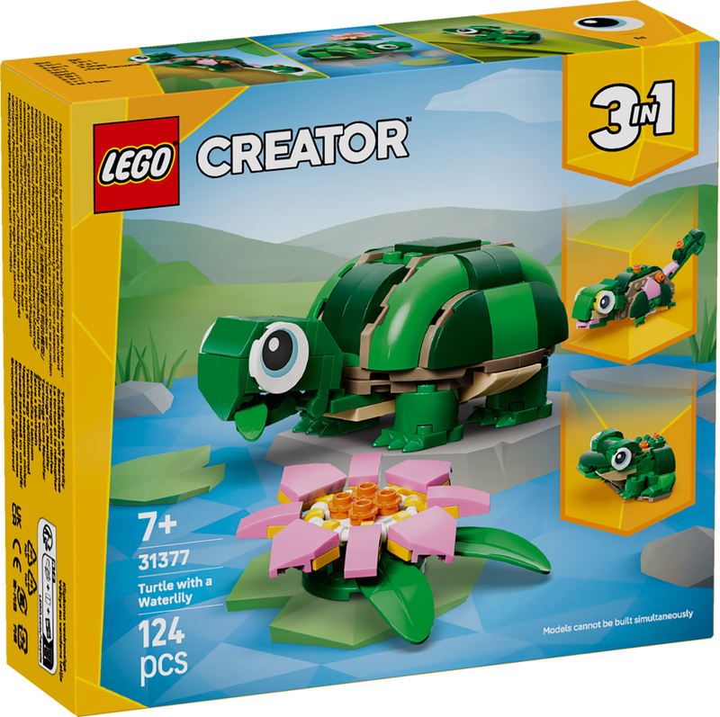 Turtle with a Water Lily Flower