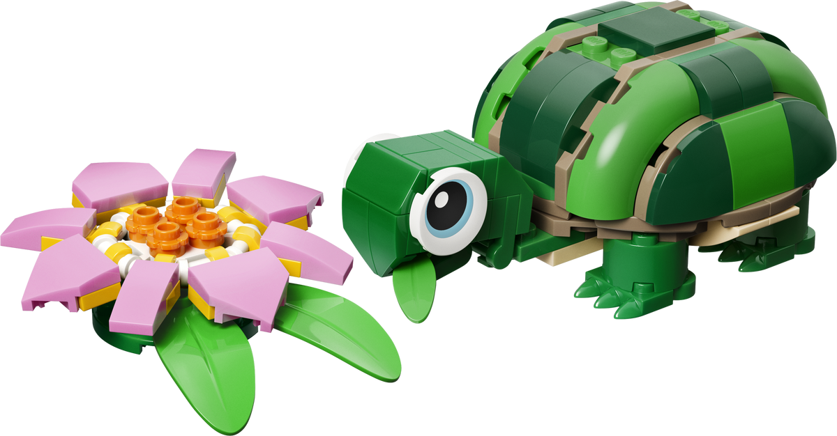 Turtle with a Water Lily Flower