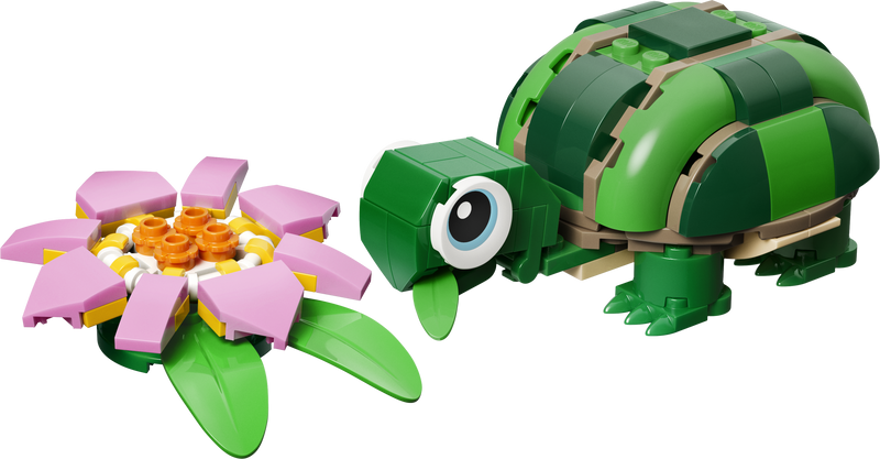 Turtle with a Water Lily Flower