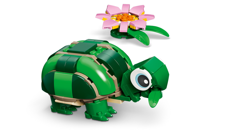 Turtle with a Water Lily Flower