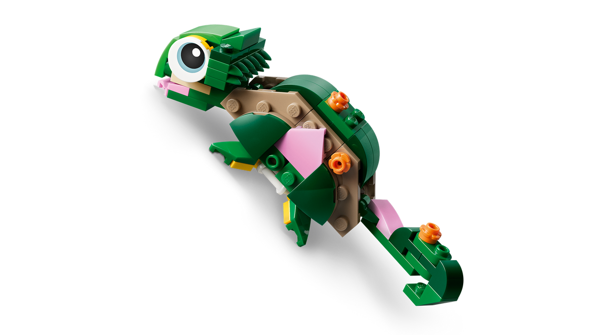 Turtle with a Water Lily Flower