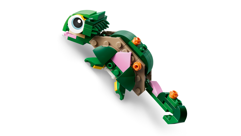 Turtle with a Water Lily Flower