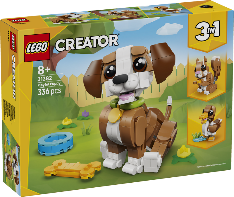 Cute Animals: Playful Puppy Dog