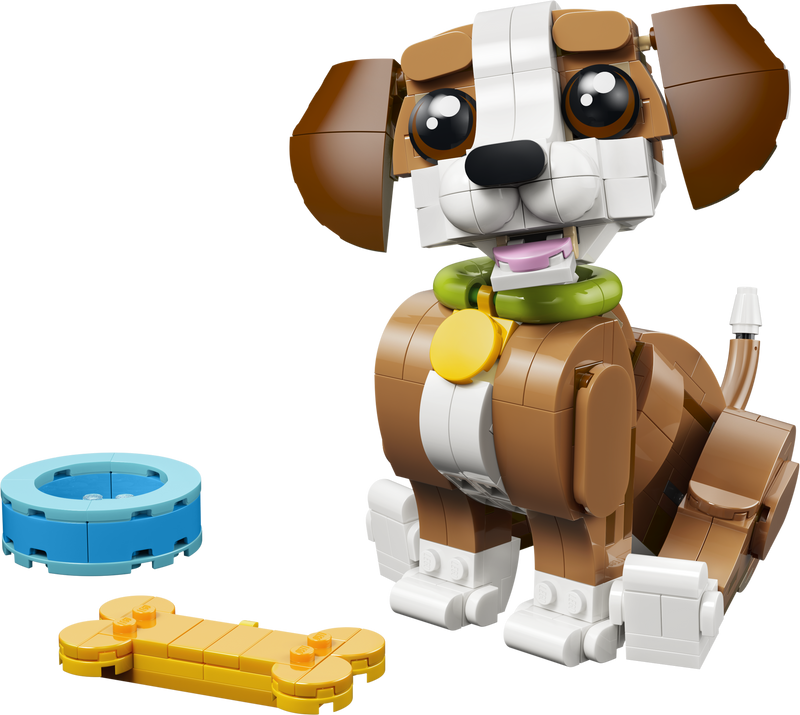 Cute Animals: Playful Puppy Dog