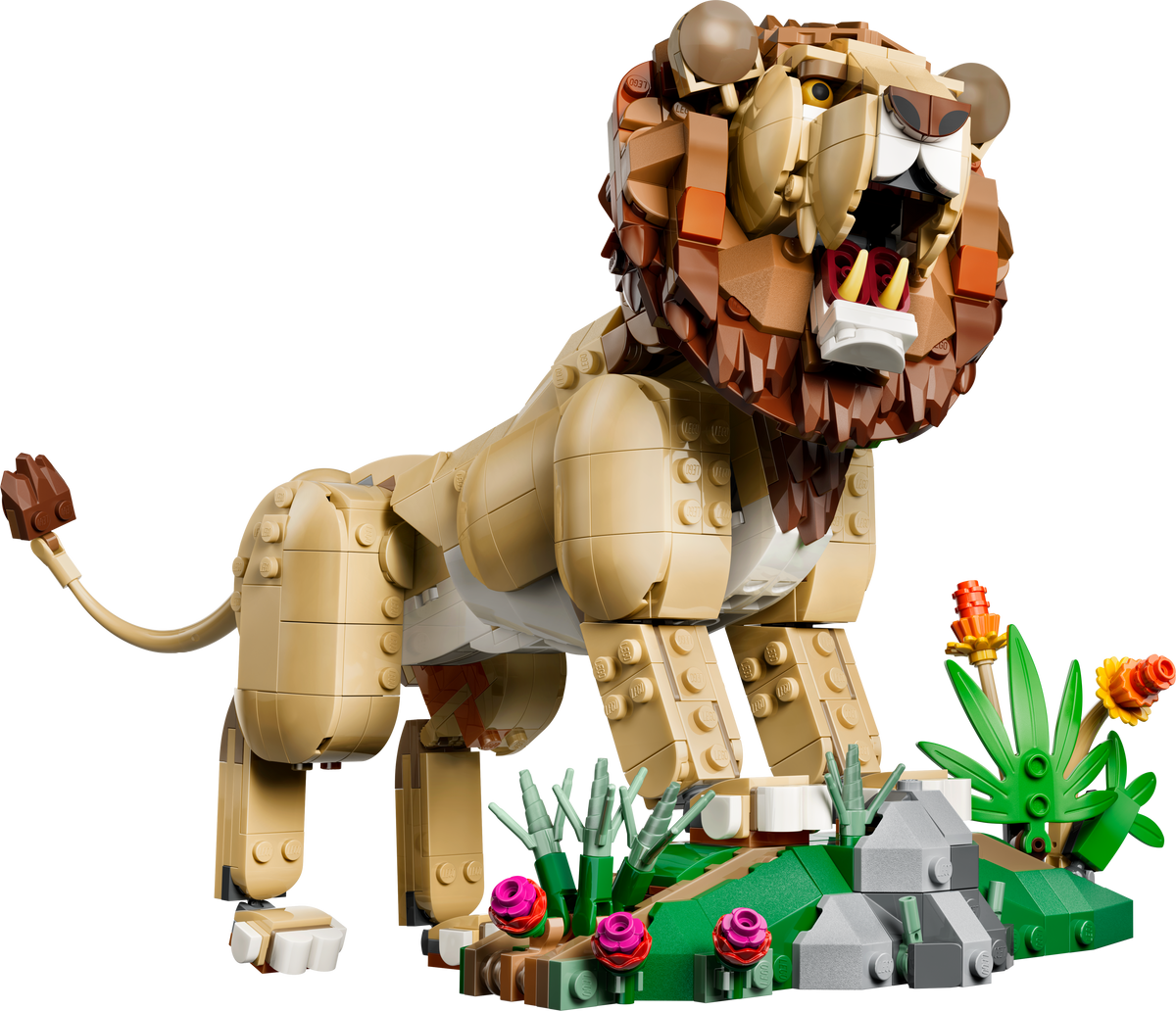 Wild Animals: Majestic Lion