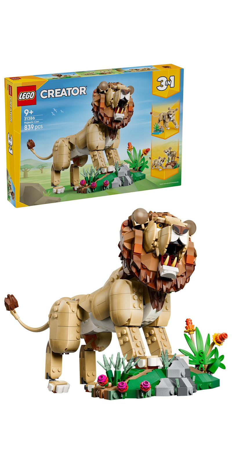 Wild Animals: Majestic Lion
