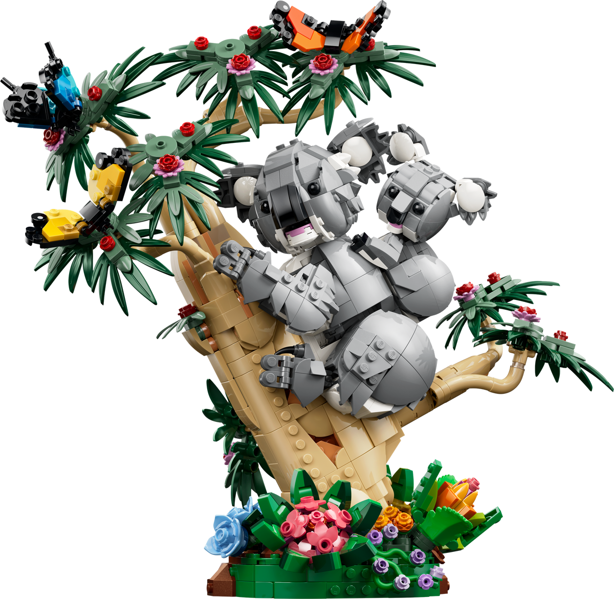Wild Animals: Family of Koalas