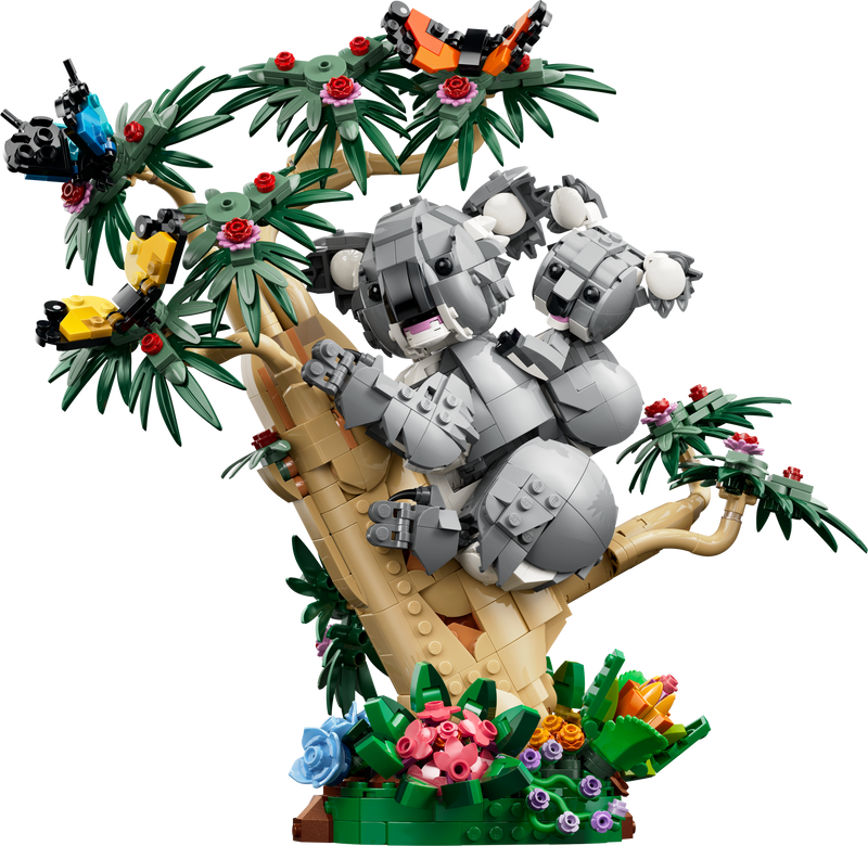 Wild Animals: Family of Koalas