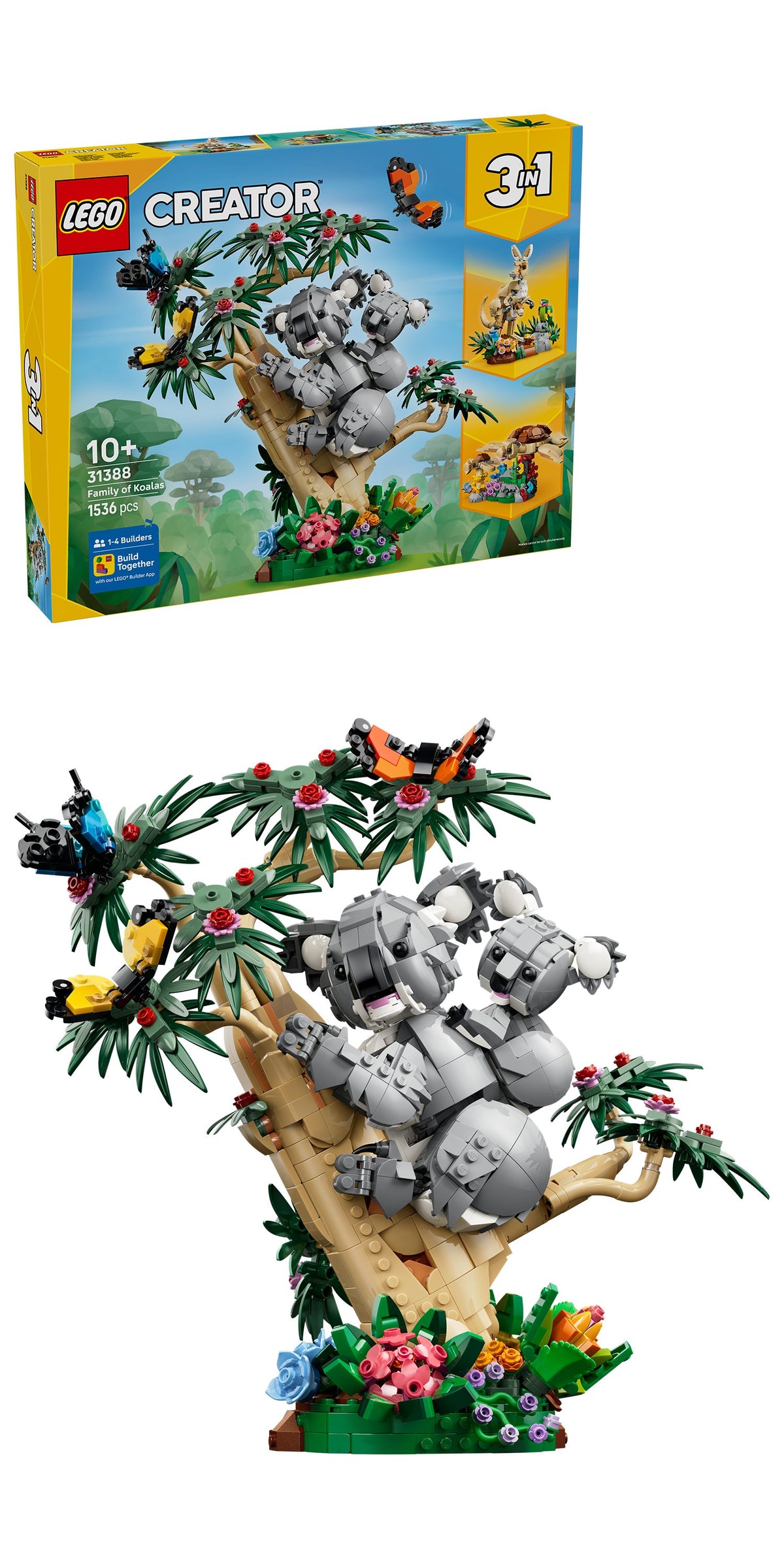 Wild Animals: Family of Koalas