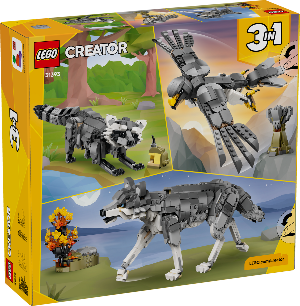 Forest Animals: Gray Wolf
