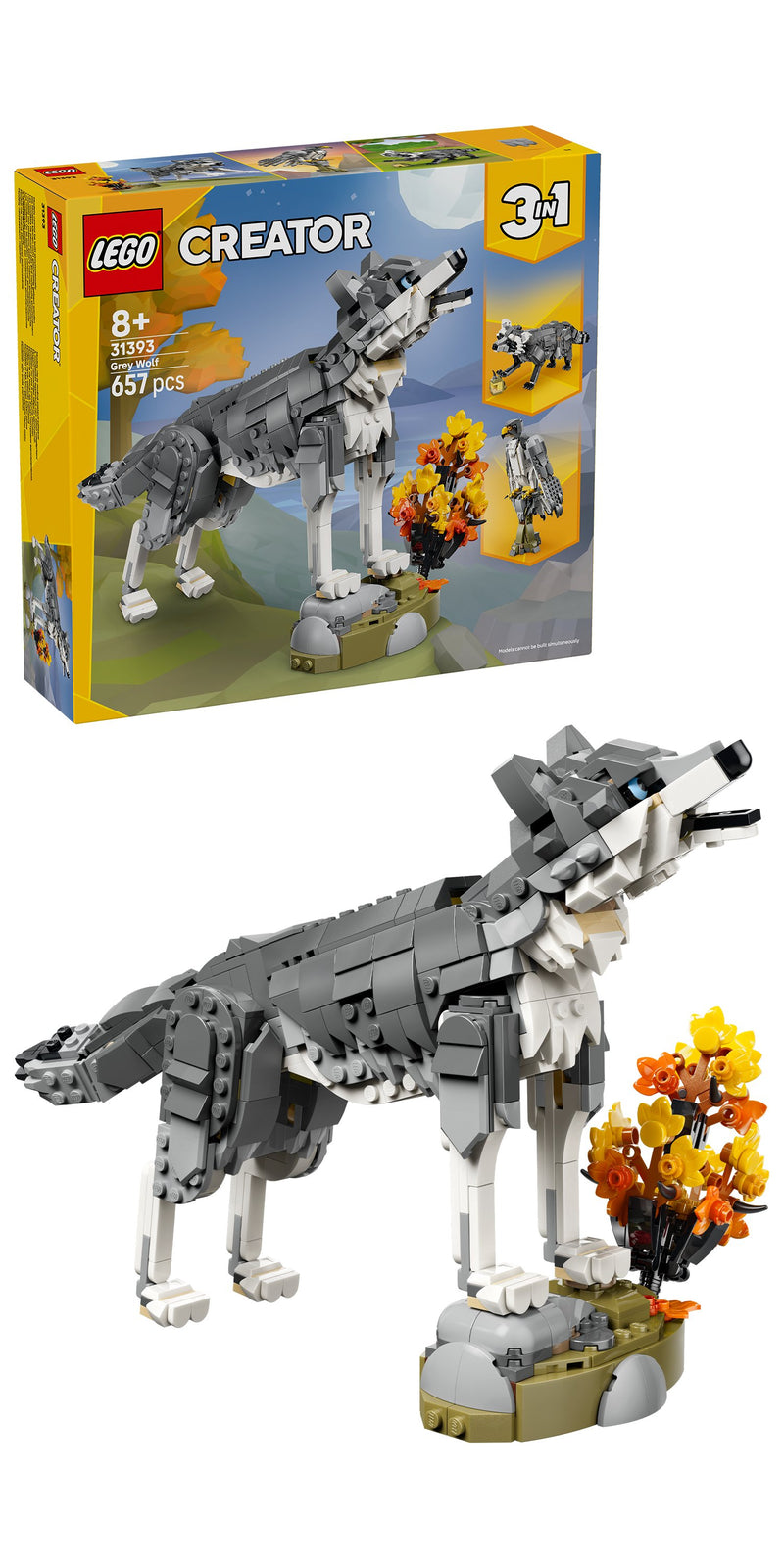 Forest Animals: Gray Wolf