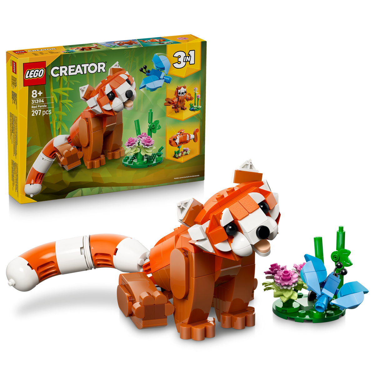 Cute Animals: Red Panda
