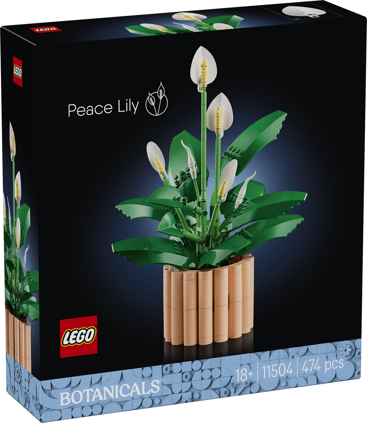 Peace Lily