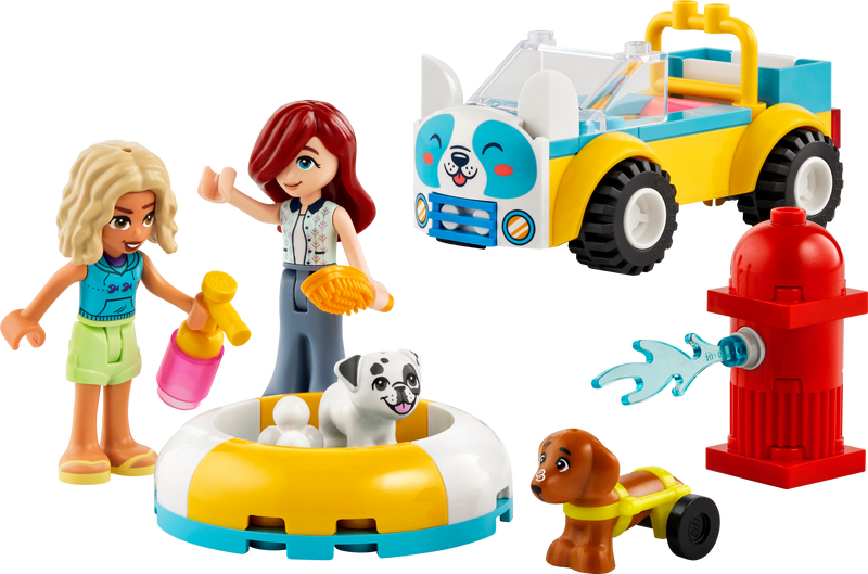 Dog-Grooming Car