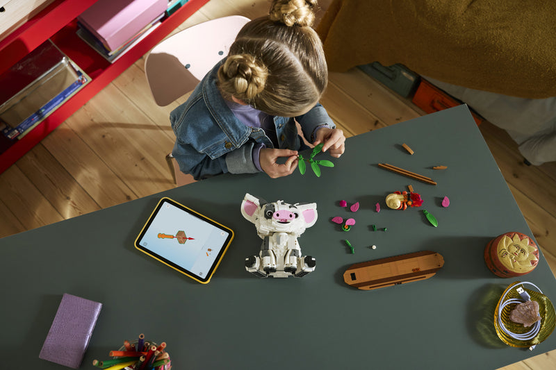 Pua