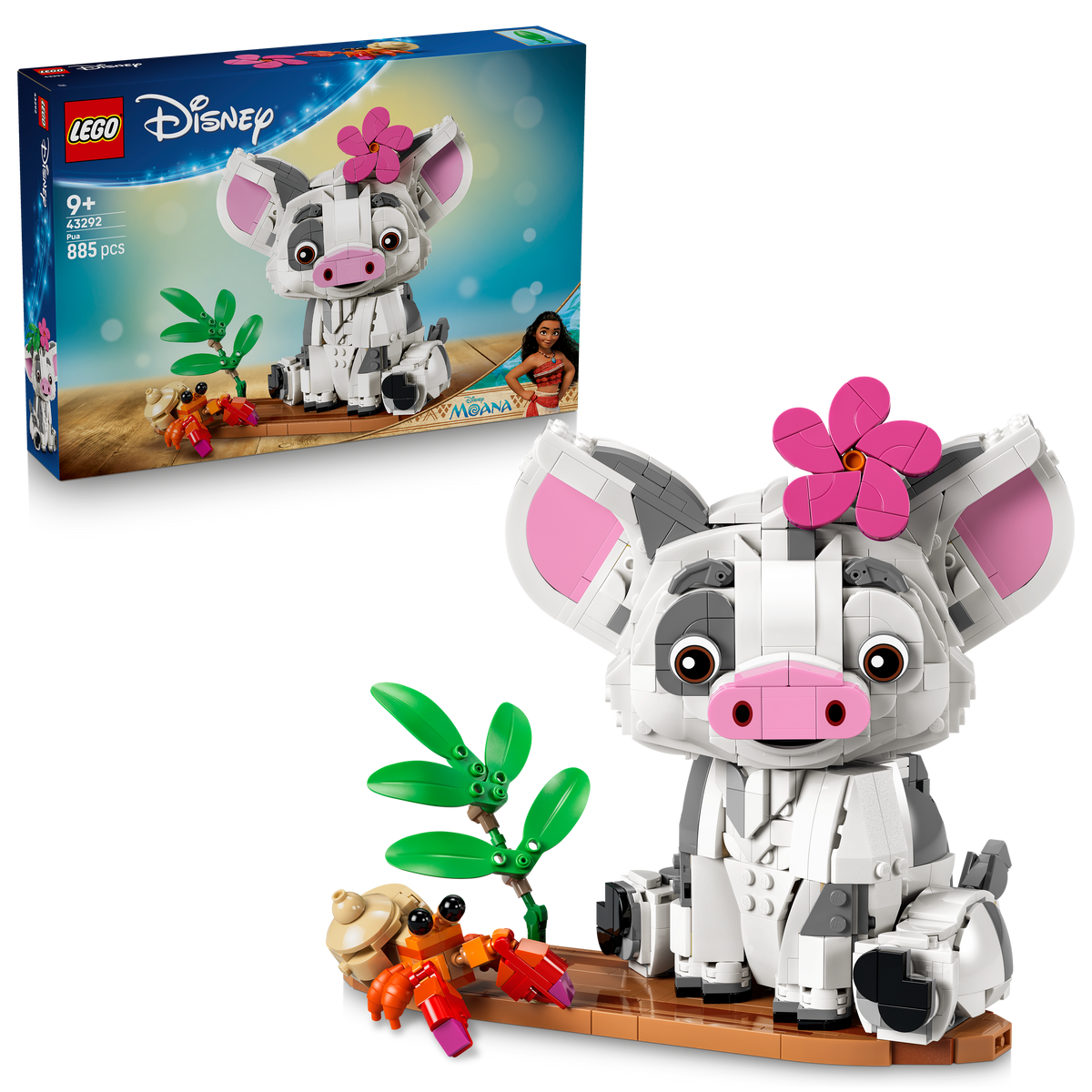 Pua