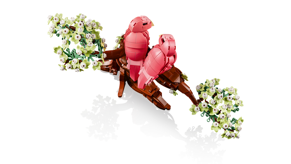 Love Birds