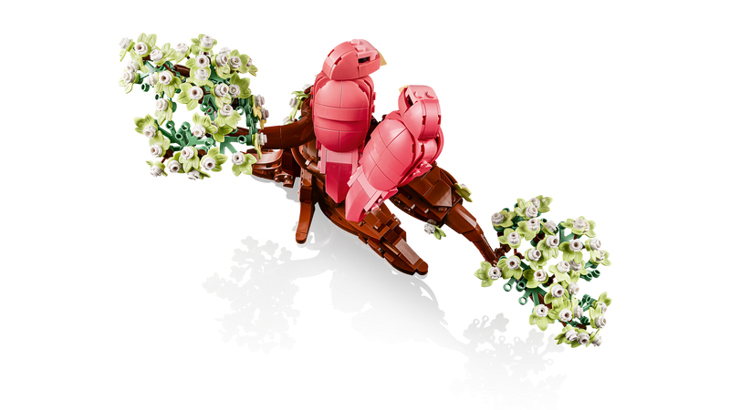 Love Birds