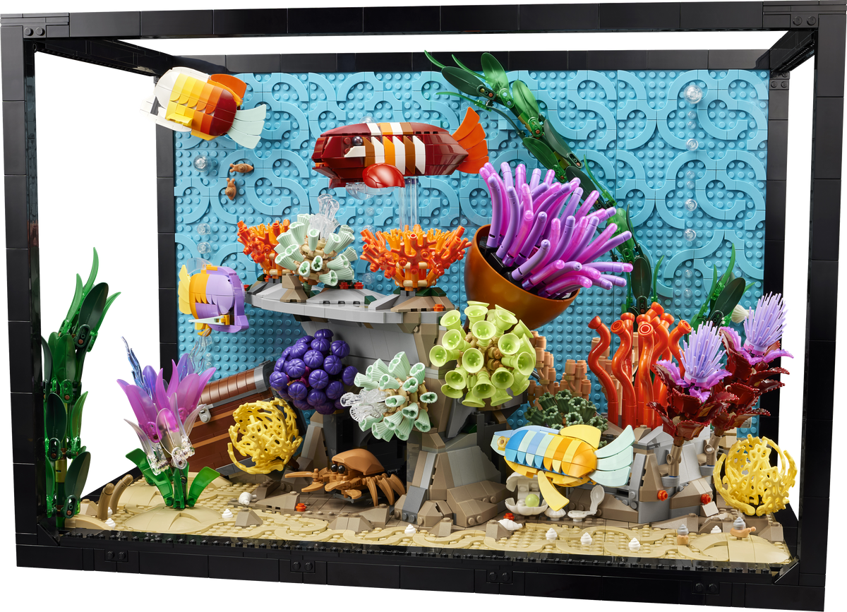 Tropical Aquarium