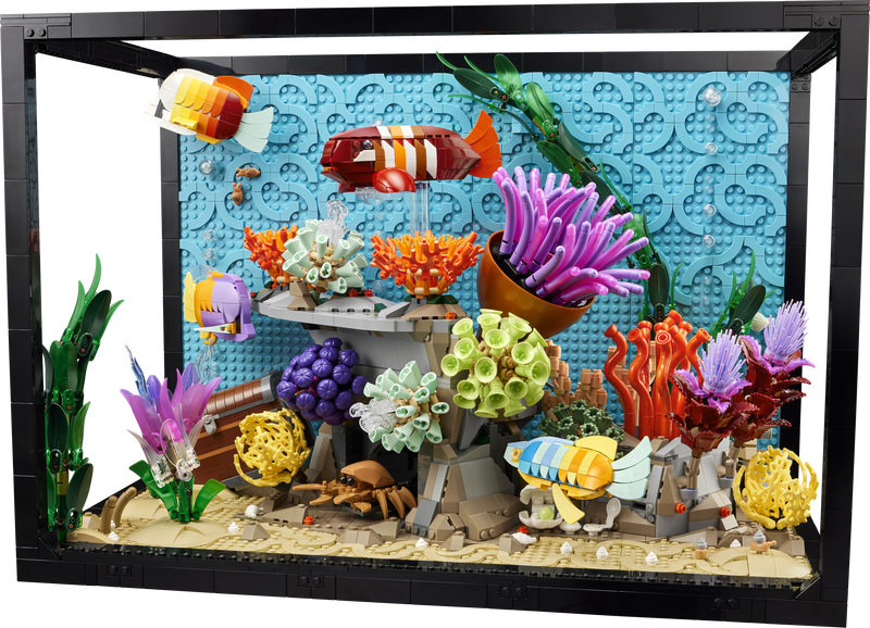 Tropical Aquarium