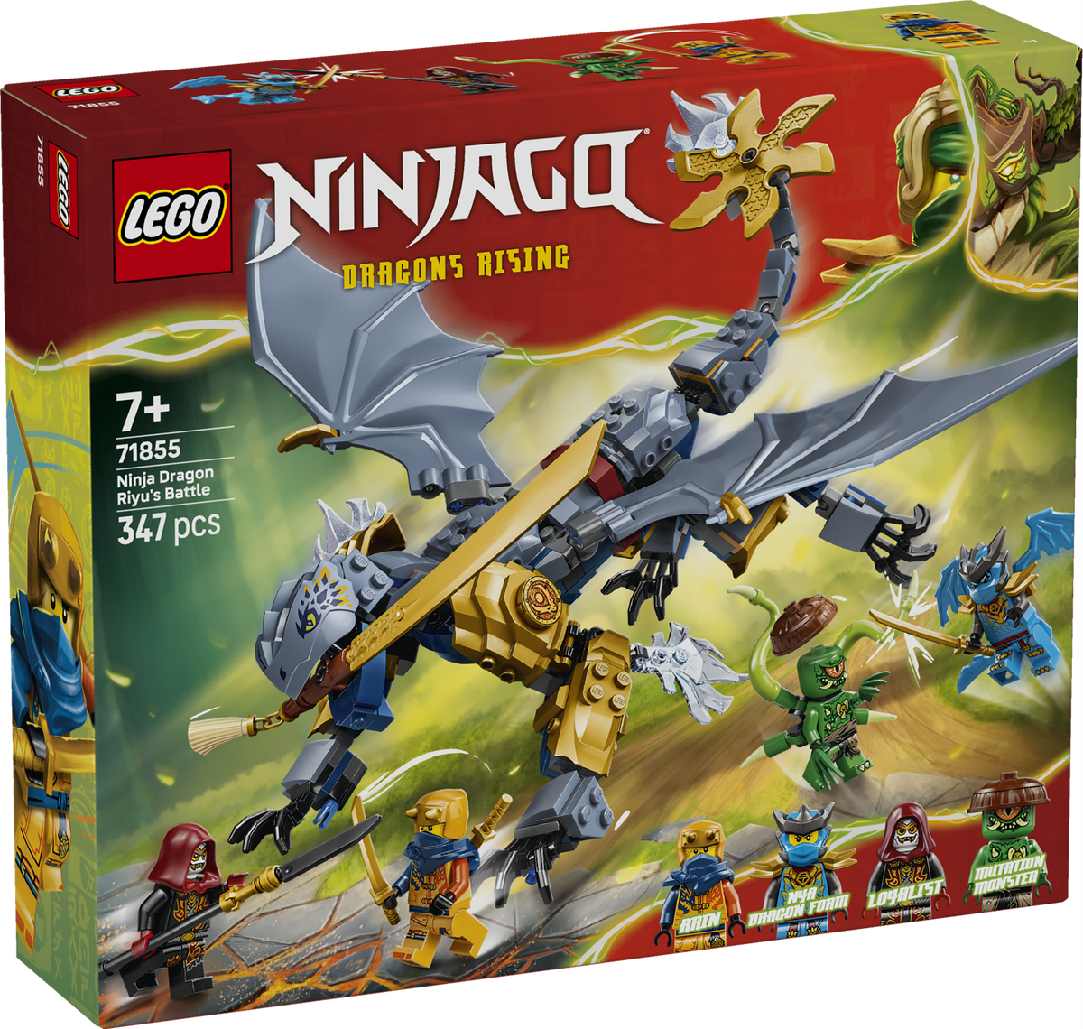 Ninja Dragon Riyu's Battle