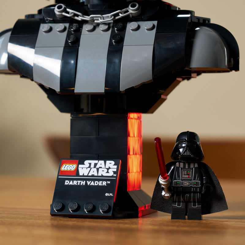 Darth Vader™ Bust
