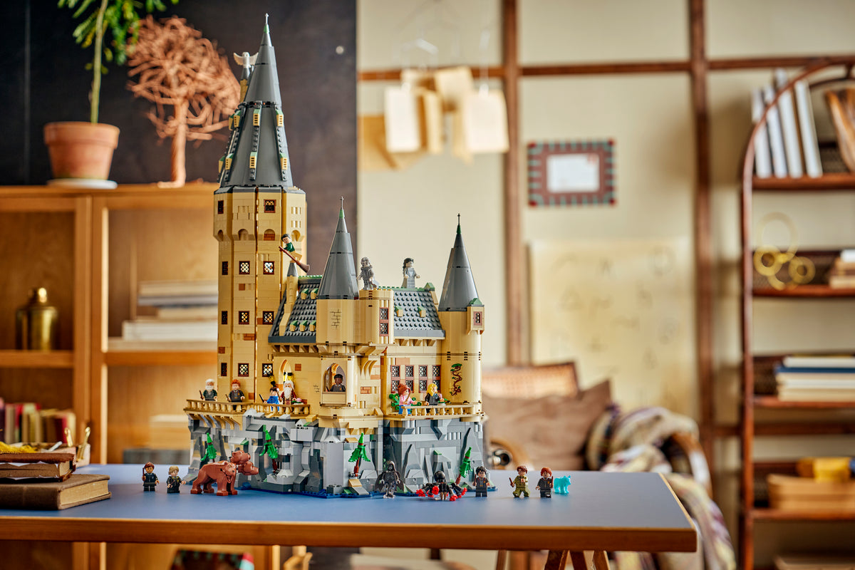 Hogwarts™ Castle: Hospital Wing
