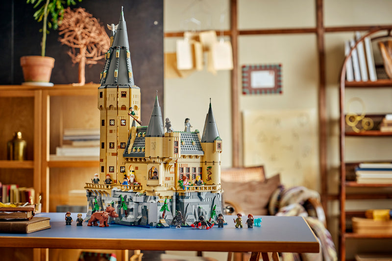 Hogwarts™ Castle: Hospital Wing