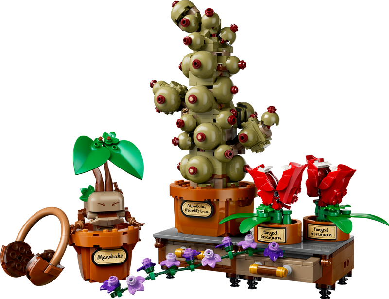 Hogwarts™ Herbology Plants