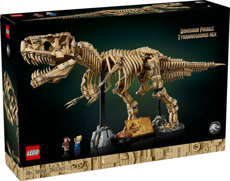 Dinosaur Fossils: Tyrannosaurus rex