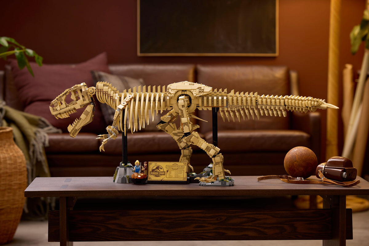 Dinosaur Fossils: Tyrannosaurus rex