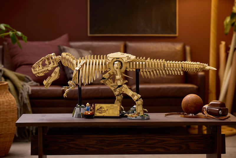 Dinosaur Fossils: Tyrannosaurus rex