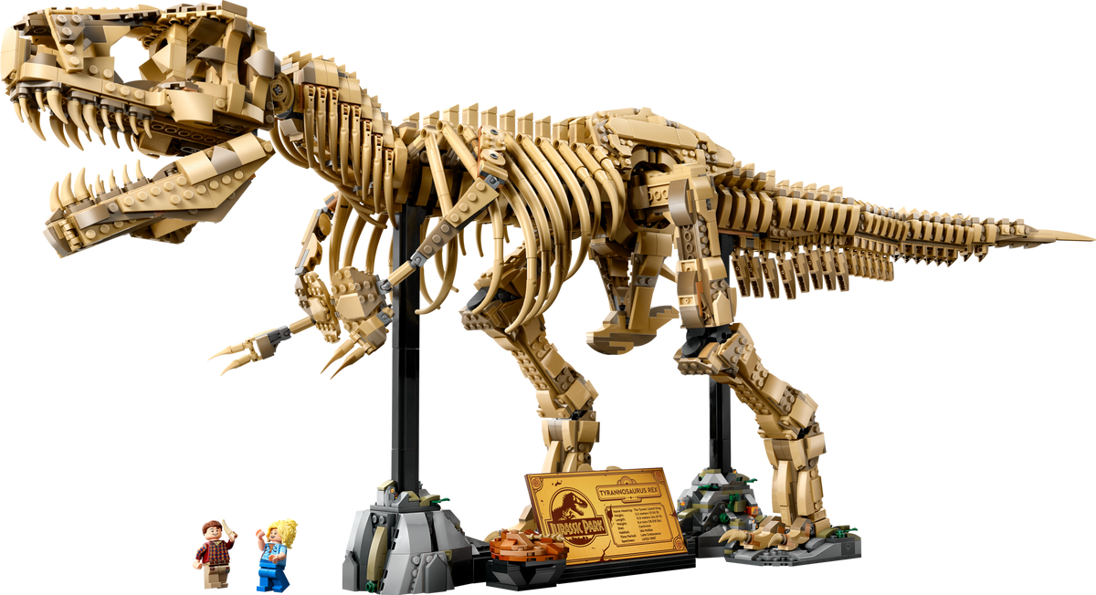 Dinosaur Fossils: Tyrannosaurus rex