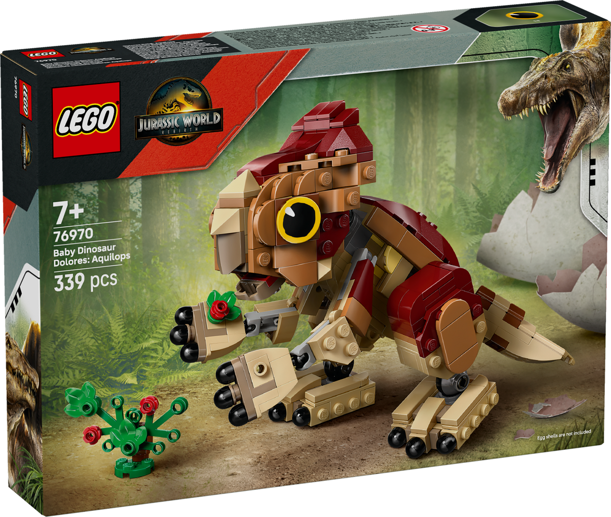 Baby Dinosaur Dolores: Aquilops