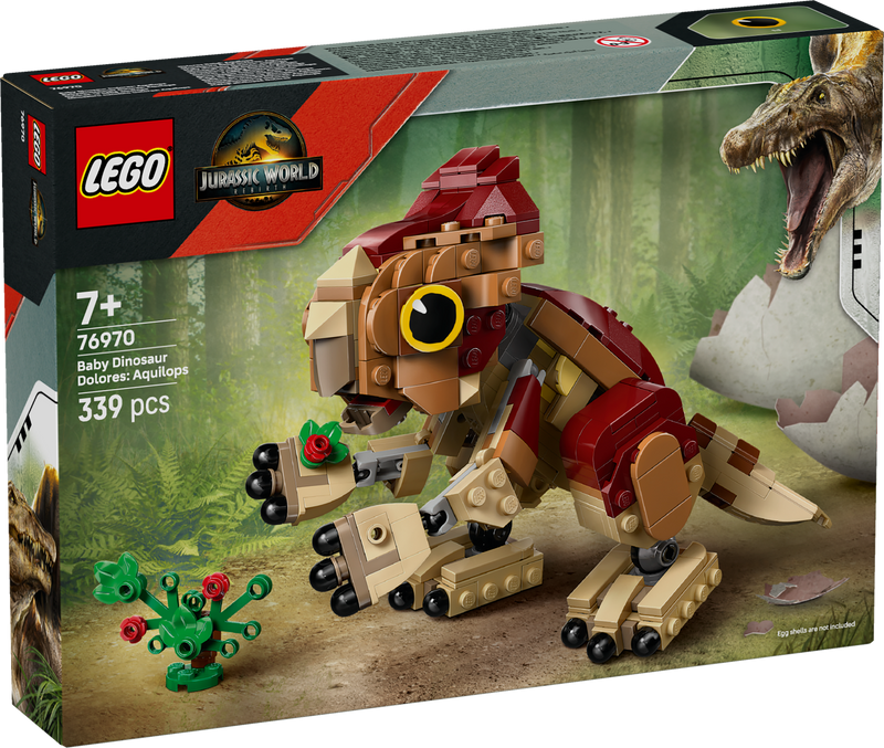 Baby Dinosaur Dolores: Aquilops