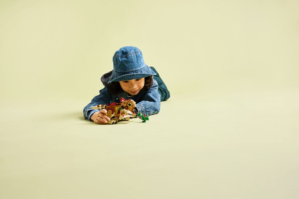 Baby Dinosaur Dolores: Aquilops