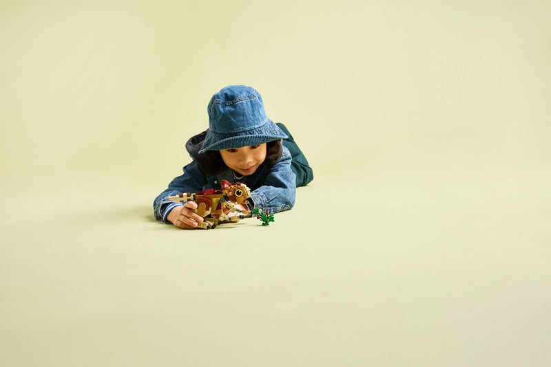 Baby Dinosaur Dolores: Aquilops