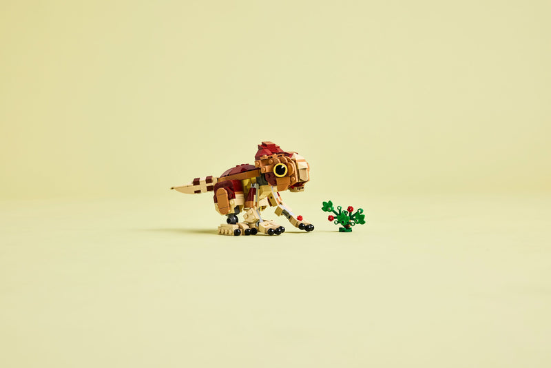 Baby Dinosaur Dolores: Aquilops