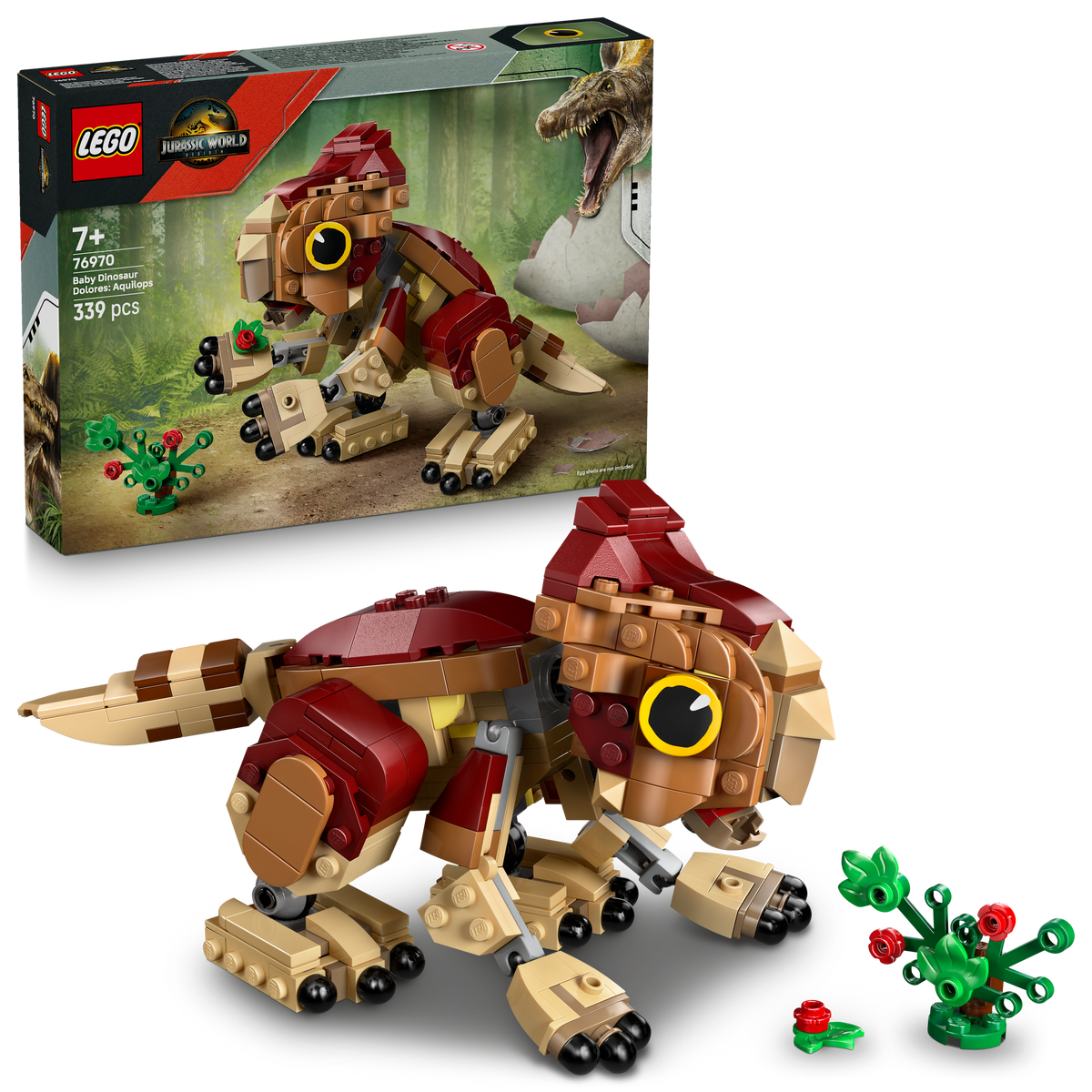 Baby Dinosaur Dolores: Aquilops
