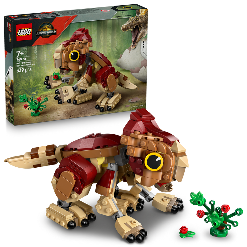 Baby Dinosaur Dolores: Aquilops