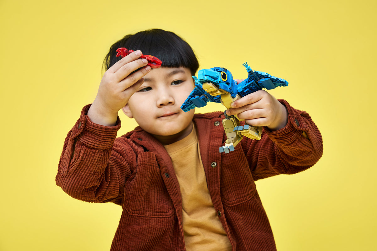Baby Dinosaur: Pteranodon