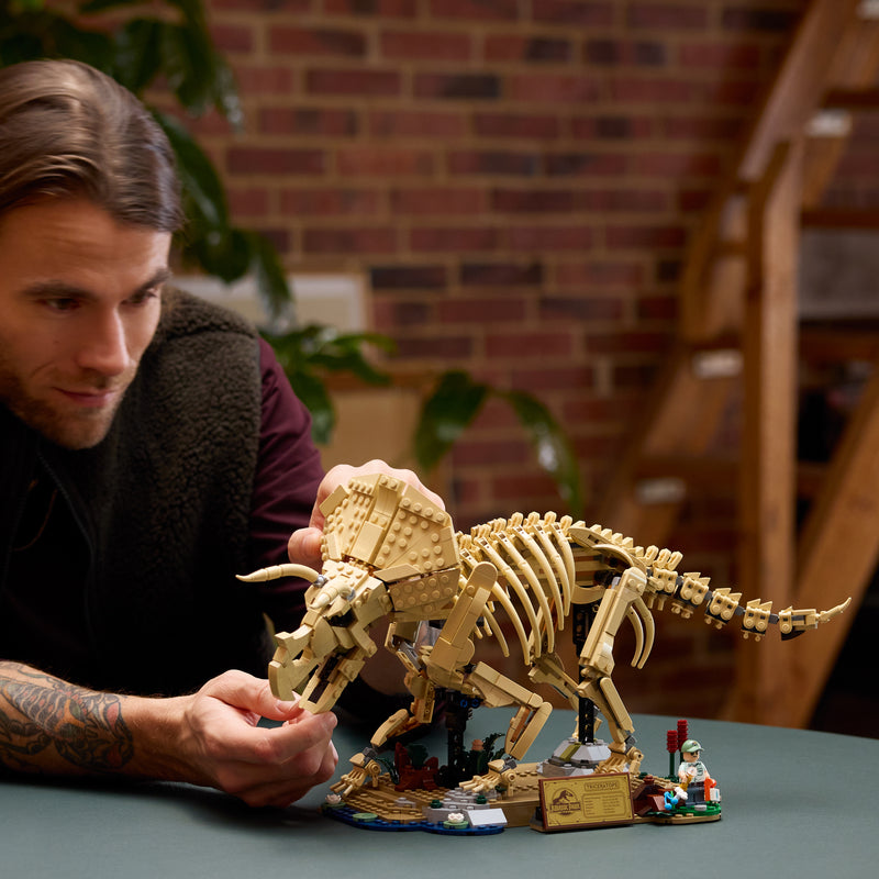 Dinosaur Fossils: Triceratops