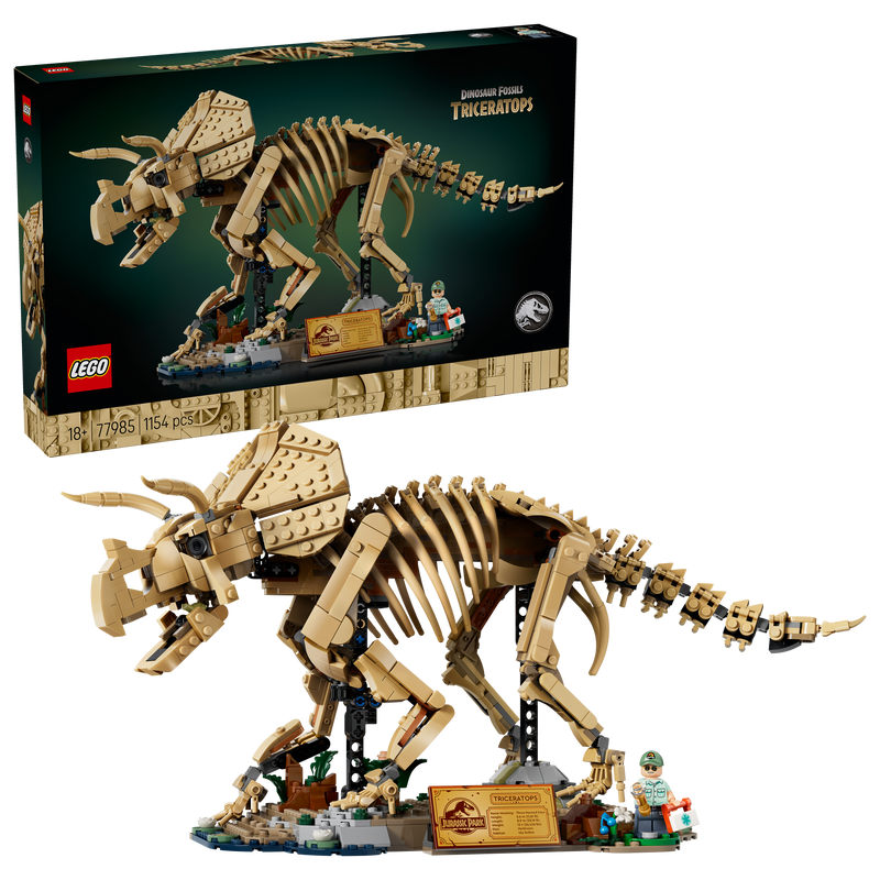 Dinosaur Fossils: Triceratops