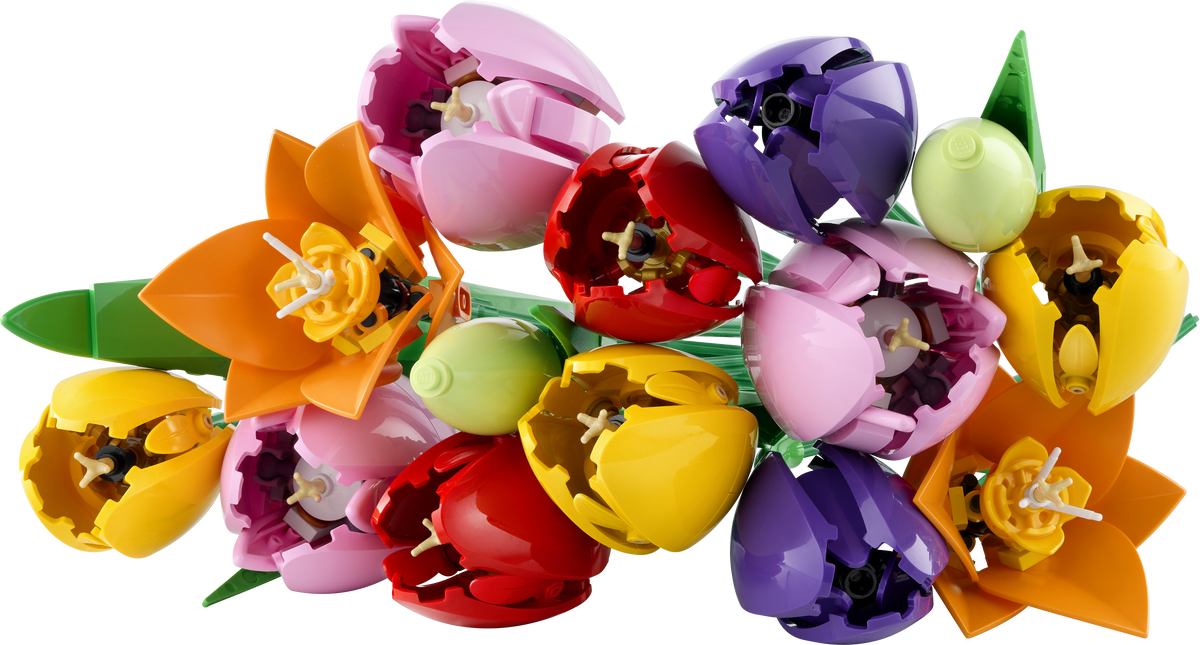 Tulip Bouquet